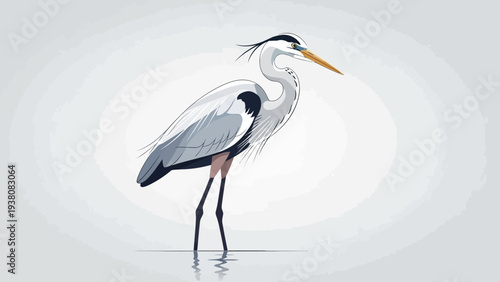 Elegant grey heron standing in shallow water vector illustration