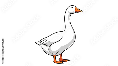 Cute white domestic goose cartoon illustration