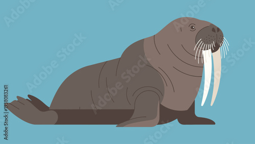 Stylized walrus animal illustration on a simple blue background