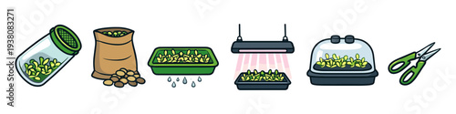 Step-by-step illustration of growing microgreens from seeds to harvest