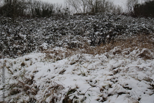 Countryside under the snow
