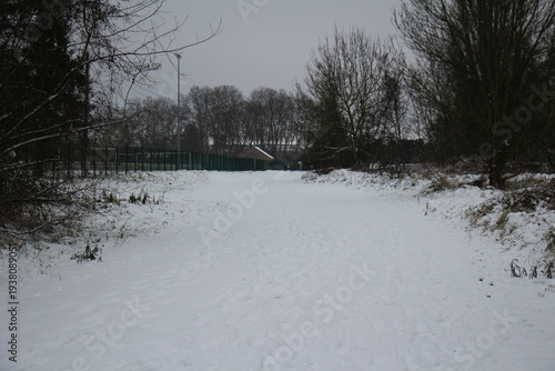 Countryside under the snow