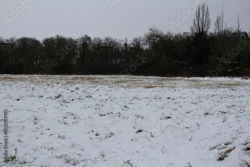 Countryside under the snow