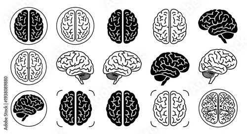 Collection of Brain Illustrations Showing Different Views and Styles