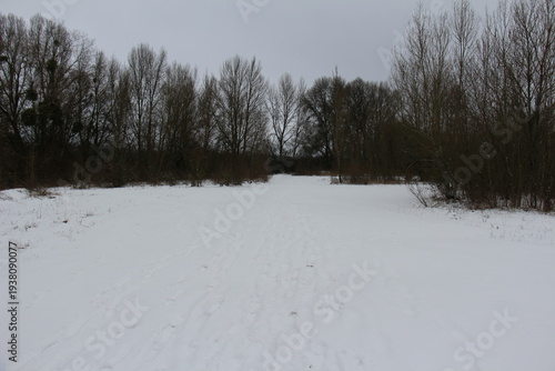 Countryside under the snow