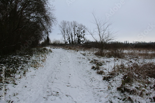 Countryside under the snow