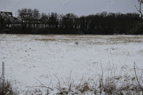 Countryside under the snow