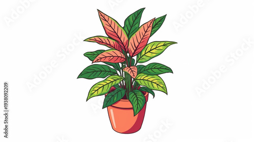 plant in a pot