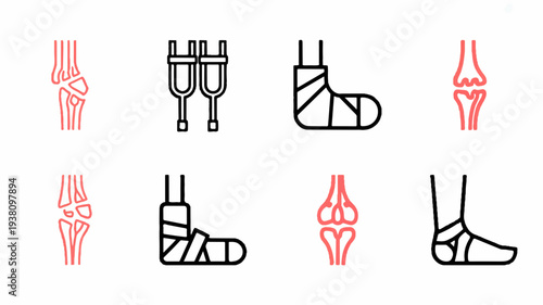Anatomical foot and ankle bone structures with cast and bandage illustrations for medical education