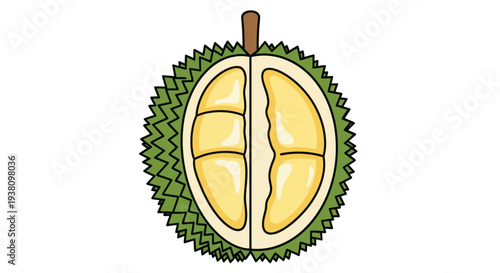 Durian Fruit Cut Open Showing Segments.