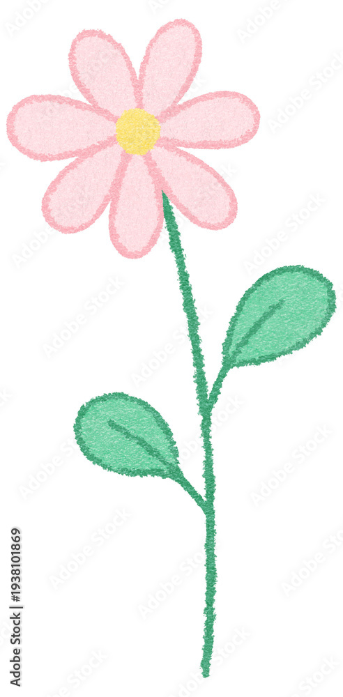 Obraz premium Pink Daisy Flower with Long Stem Oil Pastel Illustration