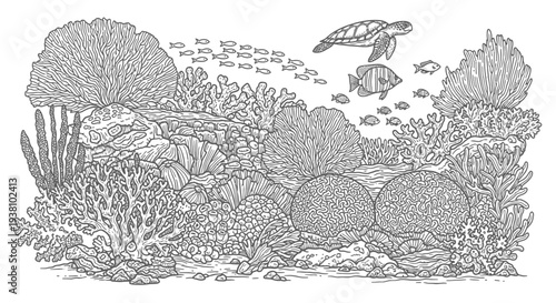 Underwater coral reef scene with various marine life in detailed illustration
