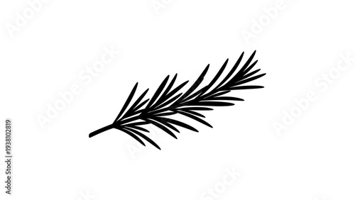 Minimalist black silhouette of rosemary herb branch on white background