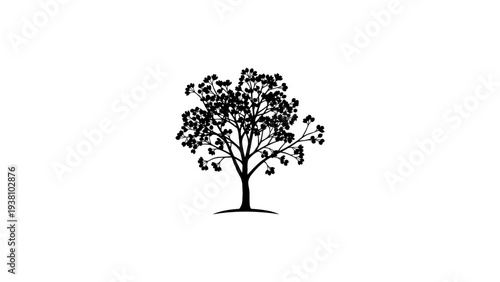Elegant tree silhouette with detailed branches and leaves