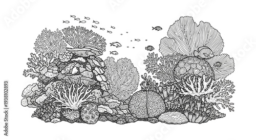 Detailed pen and ink illustration of coral reef ecosystem with fish