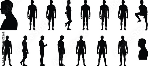 Male human body silhouette set with multiple poses and side profiles isolated on white background, full length anatomy reference collection for design