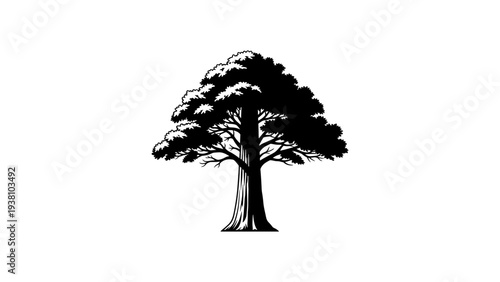 Elegant silhouette of a majestic tree with detailed branches and foliage
