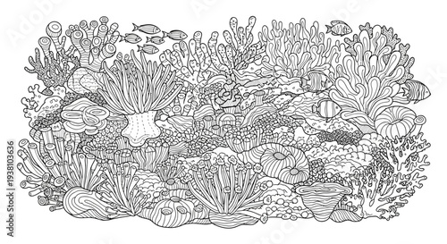 Detailed illustration of coral reef ecosystem with various sea creatures