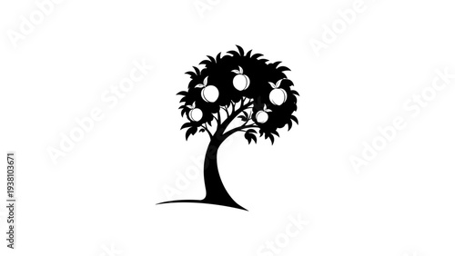 Silhouette of fruit tree with apples on branches