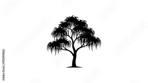 Silhouette of a tropical tree with lush foliage on white background