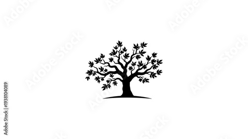 Silhouette of a lone tree with detailed branches and leaves on white background