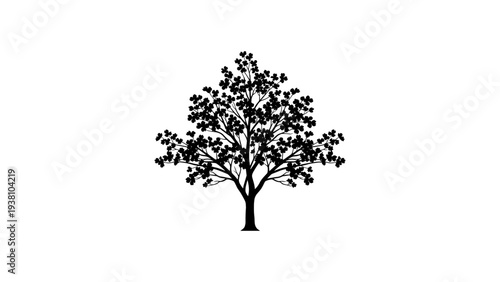 Elegant tree silhouette with leafy branches on white background