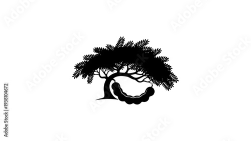 Silhouette of carob tree with seed pod
