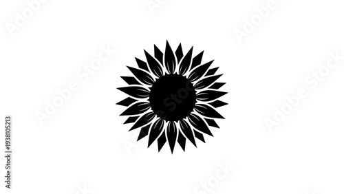 Sunflower silhouette with detailed petals on white background