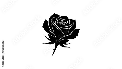 Black silhouette rose with delicate petals on white background