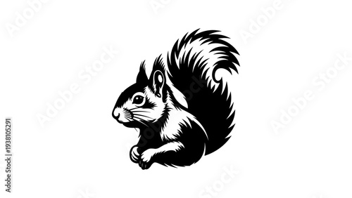 Intricate black and white squirrel silhouette with detailed tail on white background