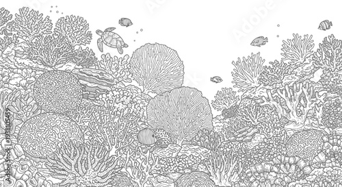 Underwater coral reef illustration with fish and sea turtle monochrome