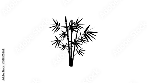 Elegant bamboo silhouette: black and white minimalist plant design for interior decor