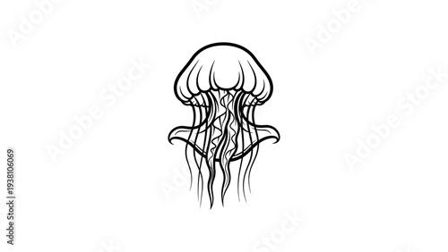 Elegant line art jellyfish design in black and white