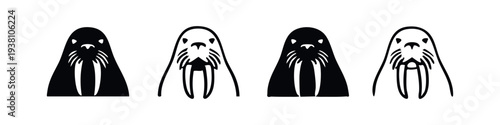Walrus Head Front View Illustration Pack