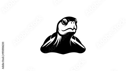 Bold turtle silhouette emphasizing strength and serenity