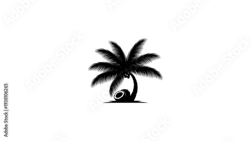 Silhouette palm tree with coconut on beach oasis