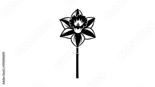 Classic black and white daffodil silhouette on white background