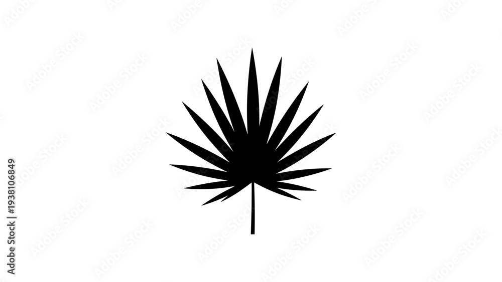 Fototapeta premium Black silhouette of a palm leaf on white background