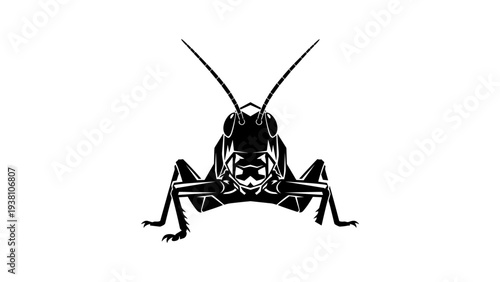 Geometric grasshopper silhouette on white background