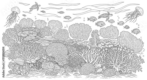 Underwater scene detailed black and white illustration of marine life