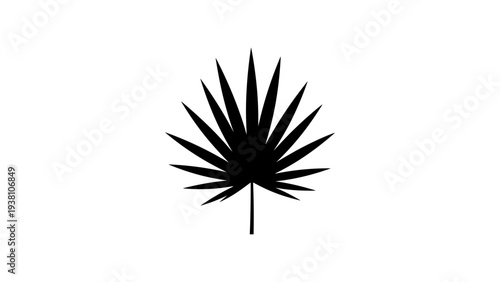 Black silhouette of a palm leaf on white background