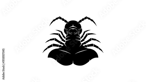 Detailed black silhouette of spider with eight legs and fangs