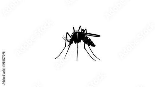 Mosquito silhouette: detailed insect on white background for nature and health themes
