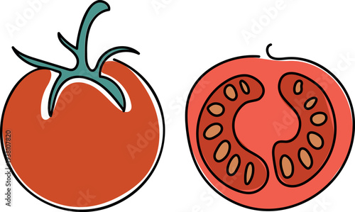 Sketch of a tomato fruit on white background	
