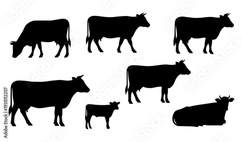 Farm cow silhouette vector collection with grazing standing and calf cattle icons isolated on white