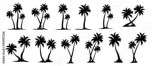 palm tree silhouette illustration.eps
