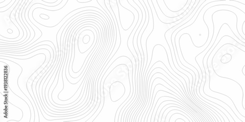 Topographic map background with geographic line map. Modern design with White topographic wavy pattern. White wave paper curved reliefs.