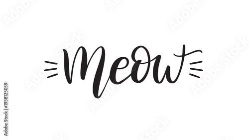 Word meow written in black cursive calligraphy with whisker accents on a white background, representing a cat's sound.