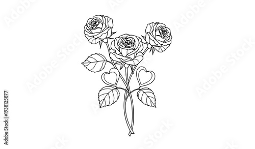 Three roses with heart shaped leaves botanical line art vector