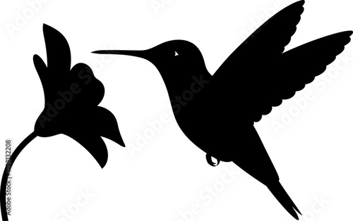 Hummingbird hovering near a spring flower blossom